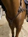 collier de chasse 5 points