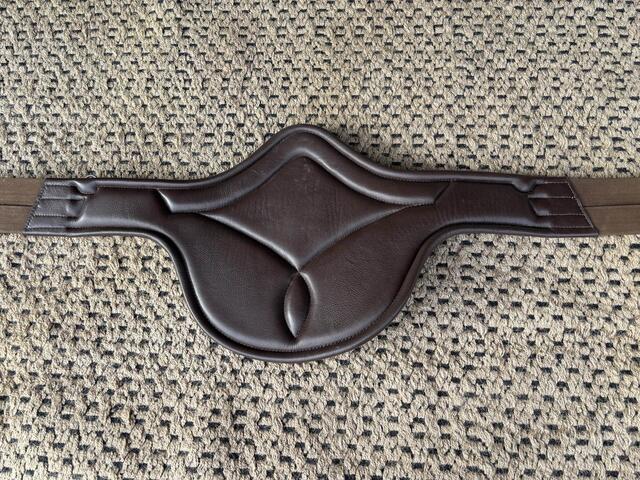bavette norton pro havane
