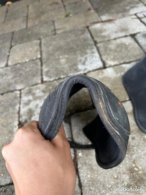 Protections dressage