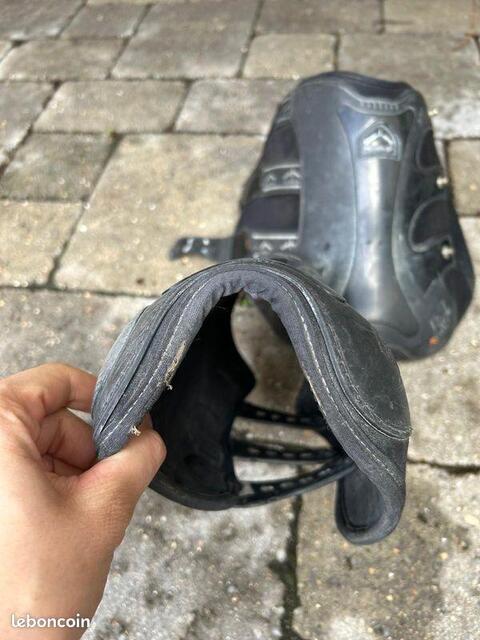 Protections dressage