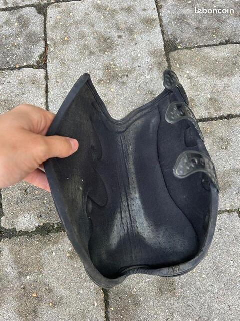 Protections dressage