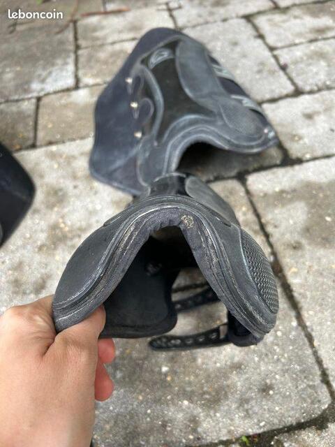 Protections dressage