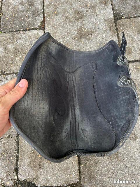 Protections dressage