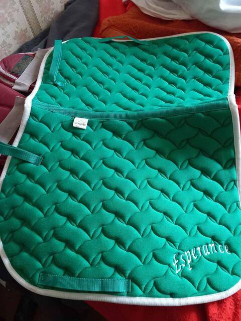 tapis