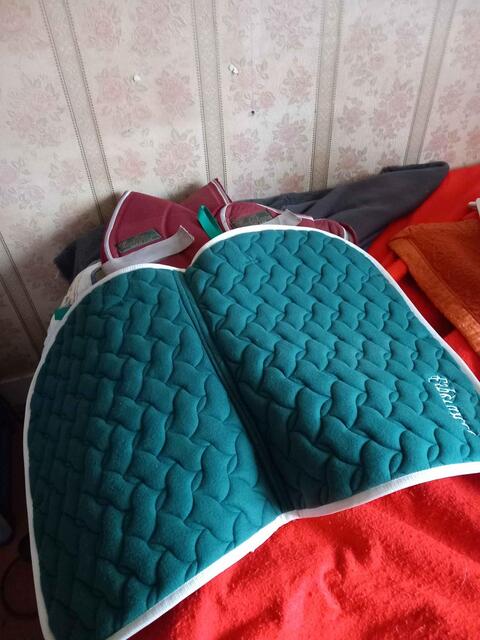 tapis