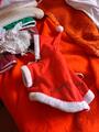costume de Noël pour un petit chien