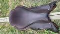 selle GBS