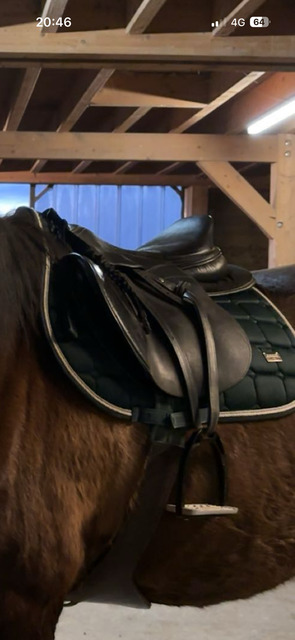 Selle cavalhorse