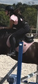 Selle cavalhorse