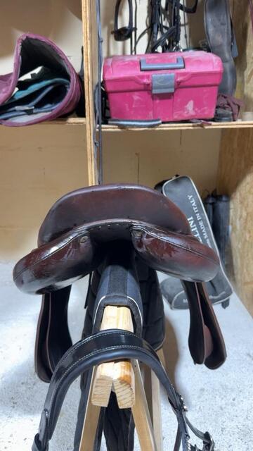 Selle Antares connexion
