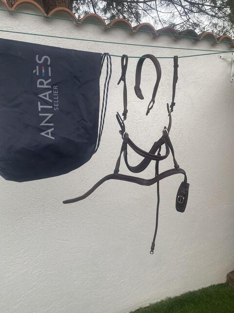 Filet antares