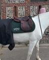 selle cwd 17,5 pouces