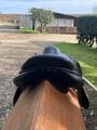 Selle forestier
