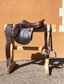CWD MISS 17p