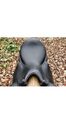 Selle dressage CWD 18’