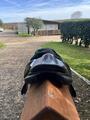 Selle forestier