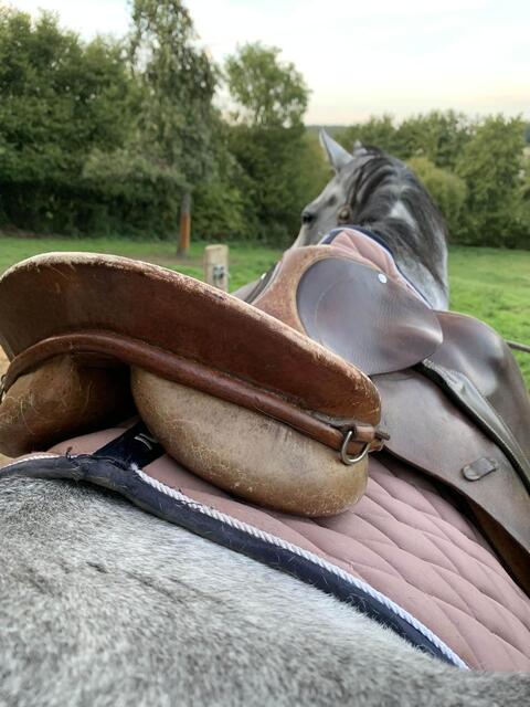 Selle Zaldi