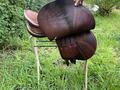 Selle Forestier