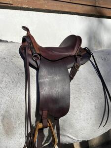 selle TH taille 17,5 numérotée