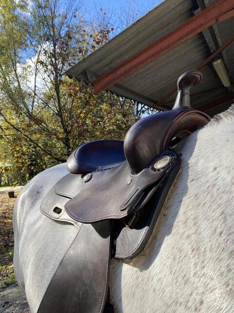 selle western Colorado springs