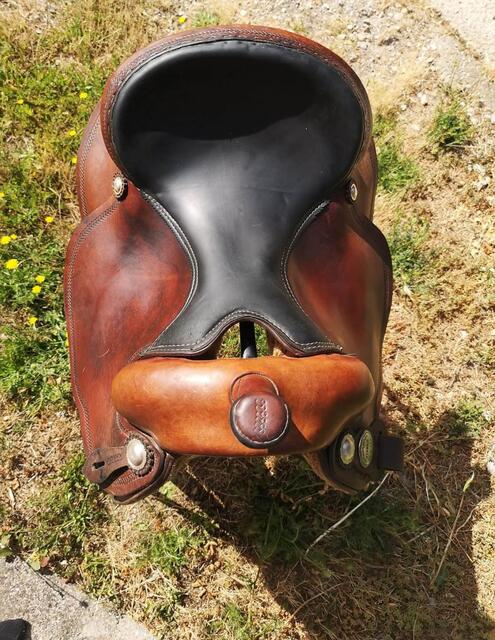 selle western continental round skier