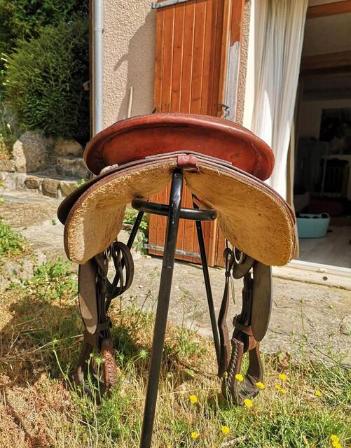 selle western continental round skier