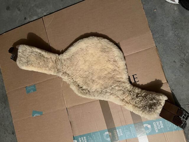 Sangle bavette en mouton
