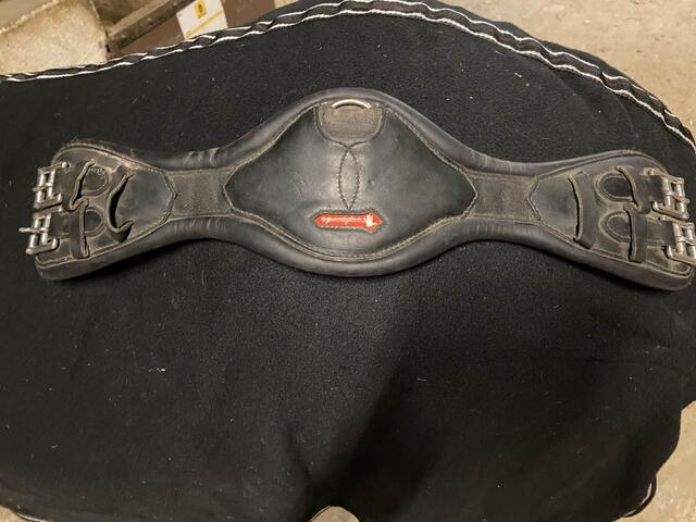 sangle dressage Equipe