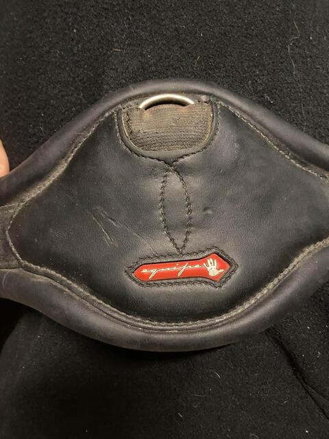 sangle dressage Equipe