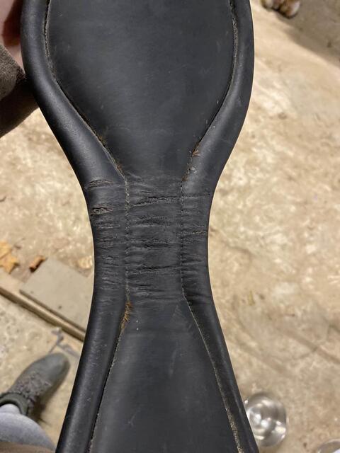 sangle dressage Equipe