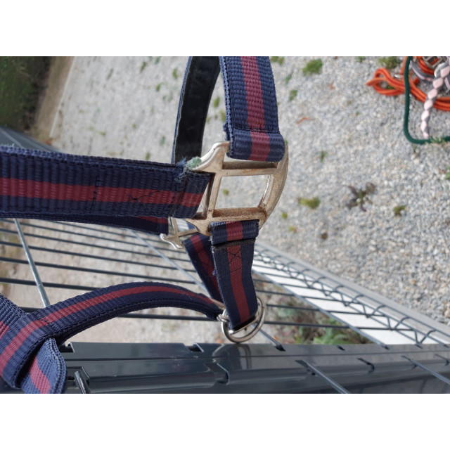 Ensemble guêtres protège boulets norton pro