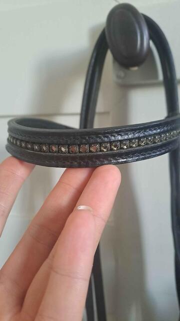 Filet anatomique Stubben strass