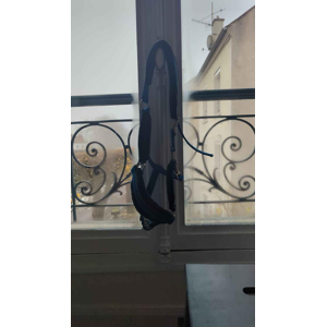 licol électric blue 🦋