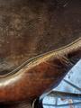 selle forestier
