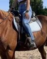 selle western