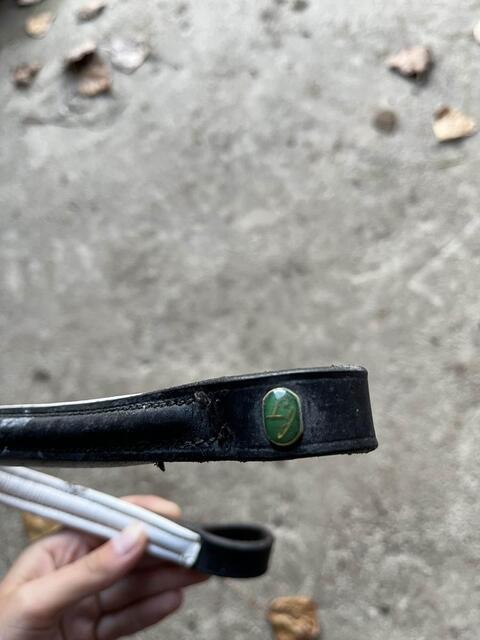 frontale et muserolle