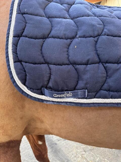 Tapis mixte Greenfield