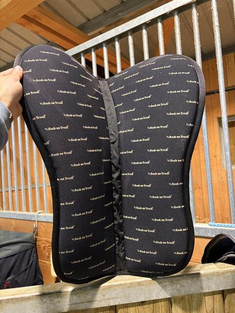 amortisseur back on track