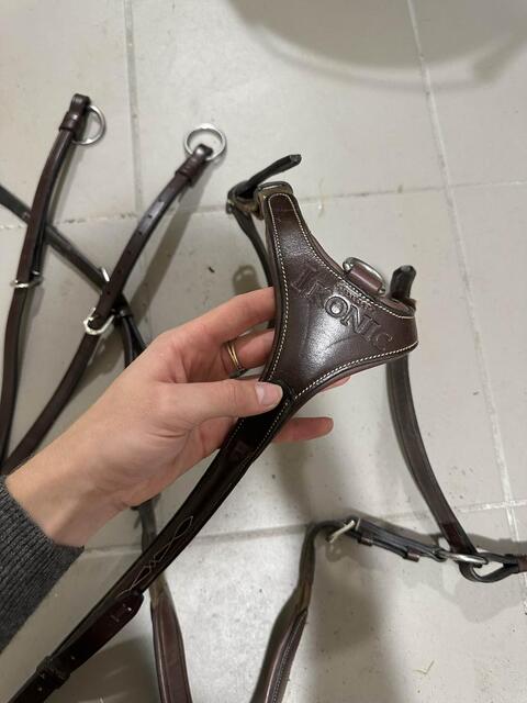 Collier de chasse cuir