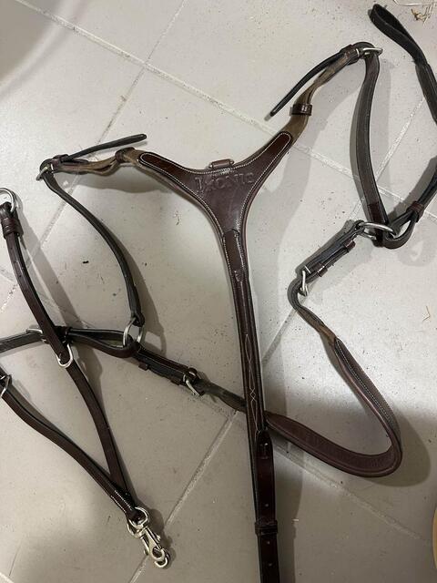 Collier de chasse cuir