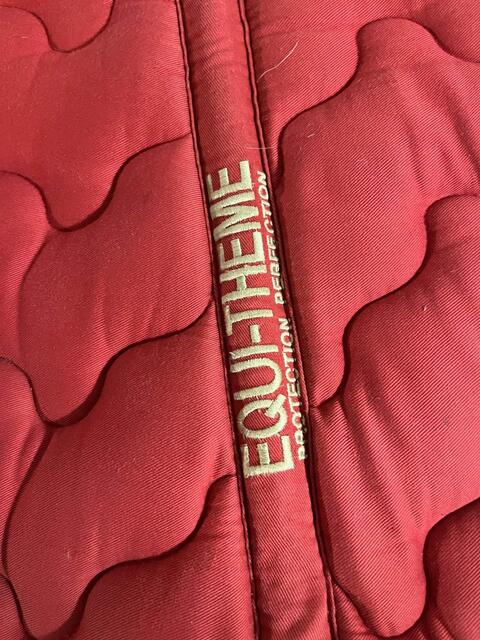 tapis rouge équi-thème
