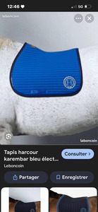tapis harcour