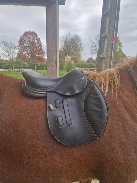 selle GBS 16,5