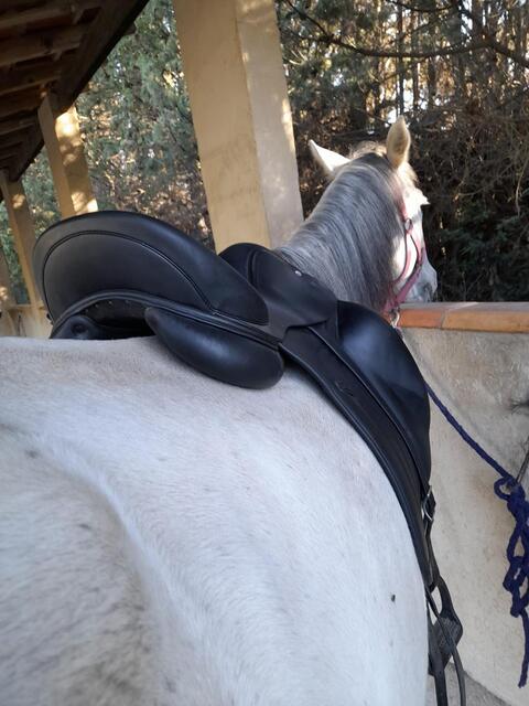 Selle de dressage antares