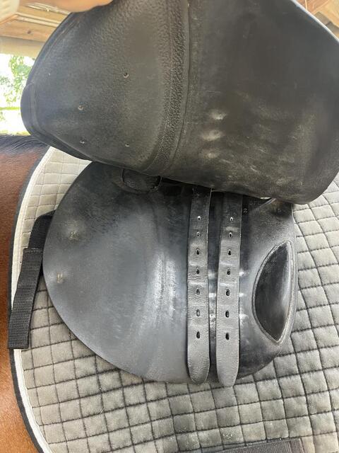 Selle childeric noire