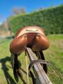 Selle prestige Paris