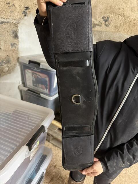 Sangle dressage Aulion