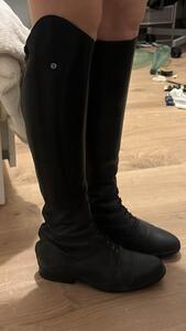 Botte sergio grasso young grosseto