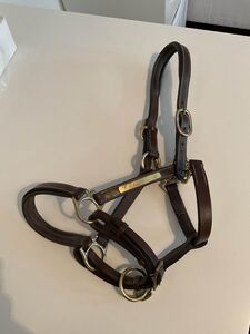 Licol en cuir Éric Thomas + longes d’attache
