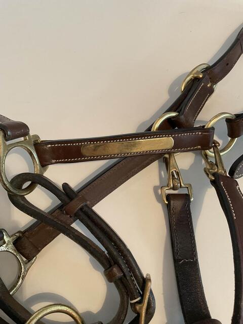 Licol en cuir Éric Thomas + longes d’attache